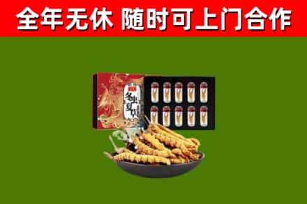 白沙回收冬虫夏草价格